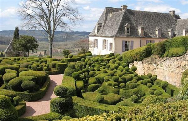 Unique Garden Design Ideas